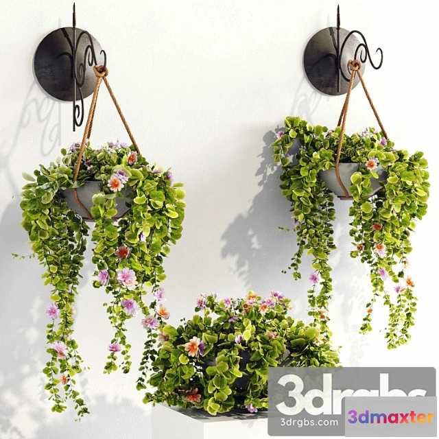 1063836 - Plant pots