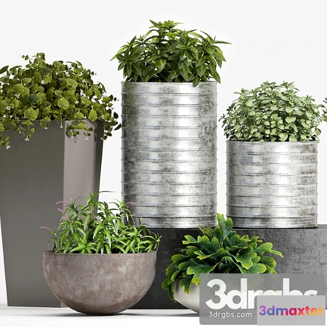 1063838 - Plant set -83