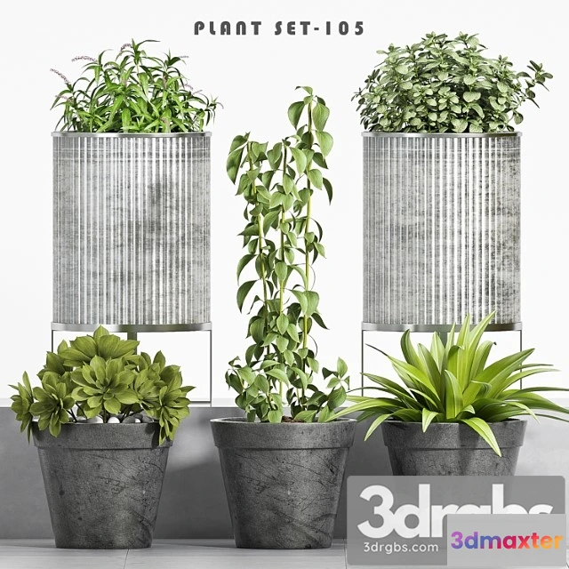 1063844 - Plant set-105