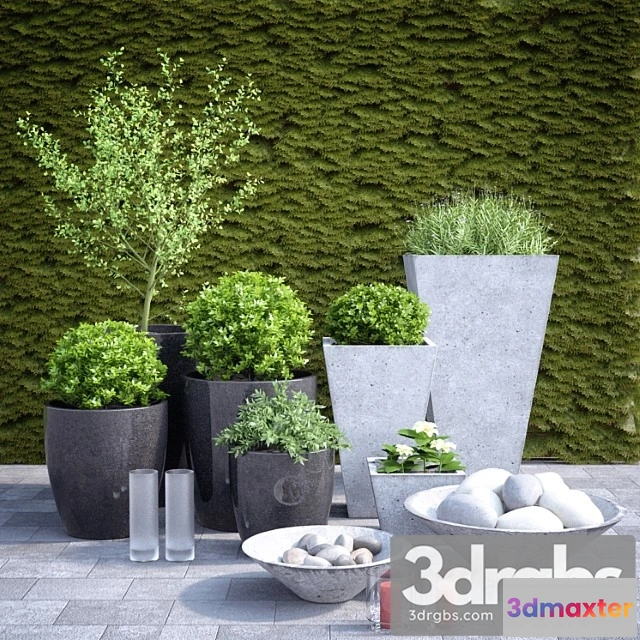 1063850 - Planter group