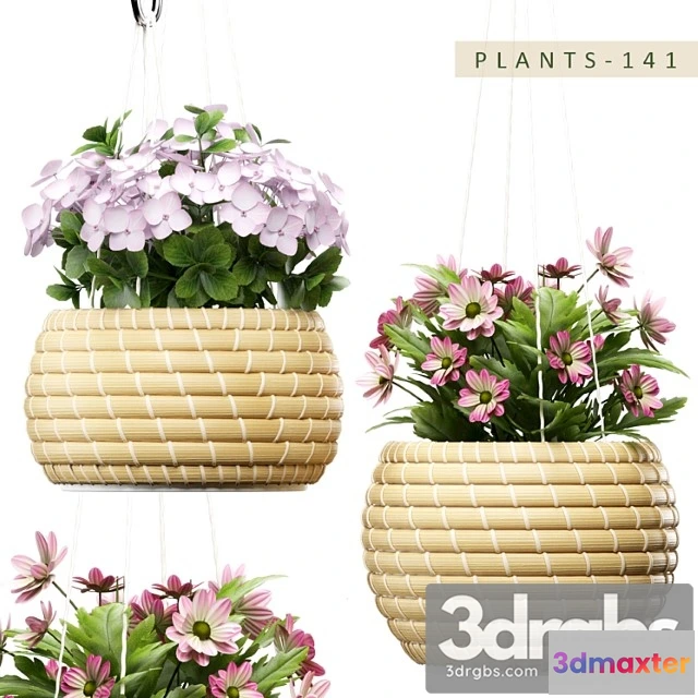 1063856 - Plants 141