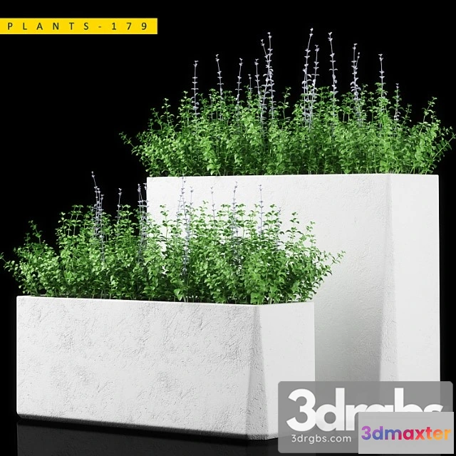 1063858 - Plants 179