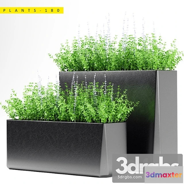 1063860 - Plants 180