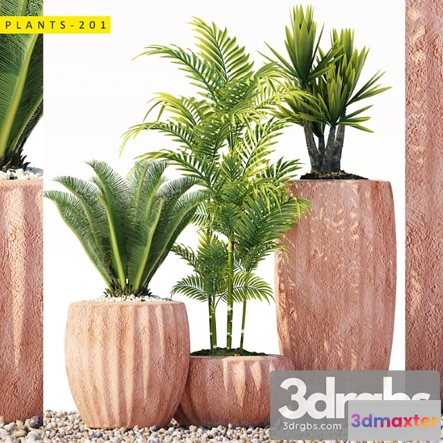 1063862 - Plants 201