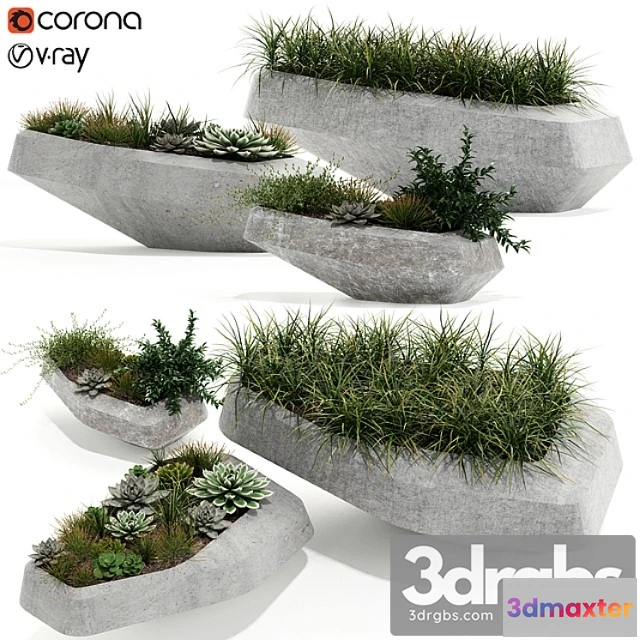 1063880 - Plants collection 132 indigenus steen