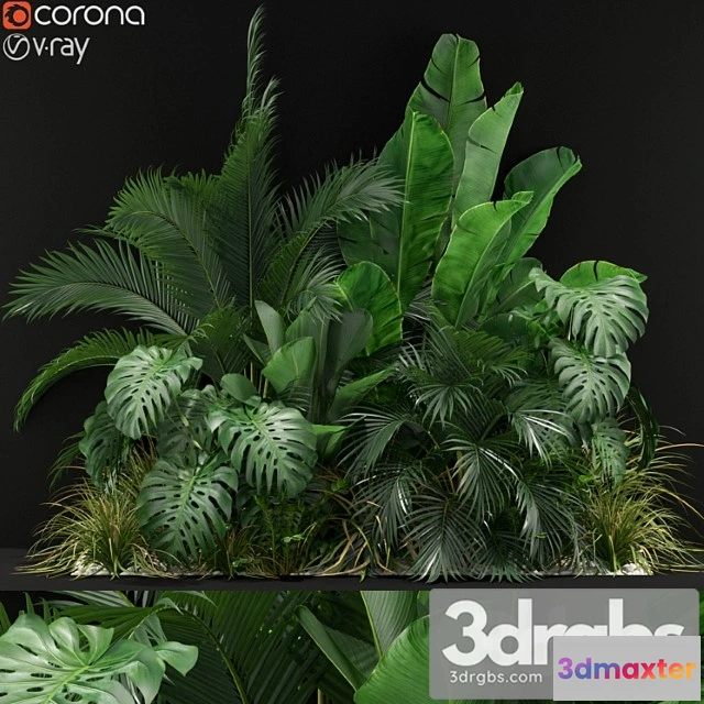 1063884 - Plants collection 357