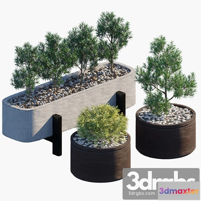 1063892 - Plants Outdoor Plant in pots _2