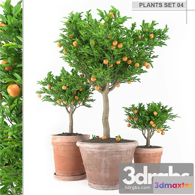 1063894 - Plants set 4