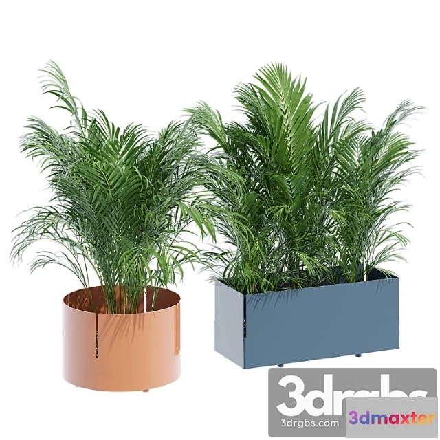 1063916 - Robertirattan