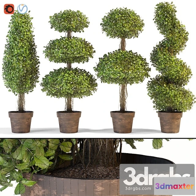 1063938 - Set of decorative trees