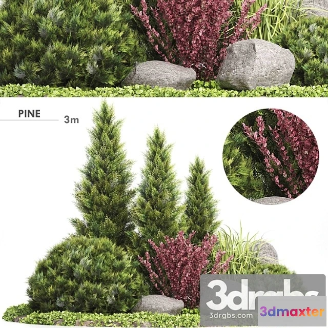 1063950 - Set plants 223 - outdoor garden