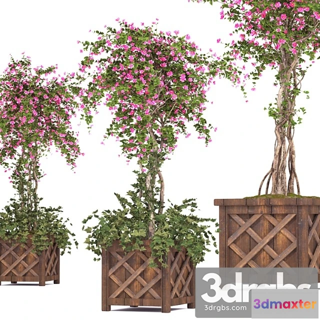 1063956 - Spring outdoor plants 03