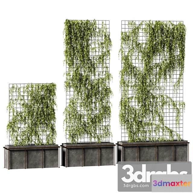 1063970 - The plant on the grid. 3 models