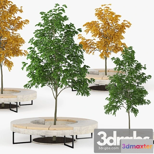 1063984 - Tree flowerbed green yellow