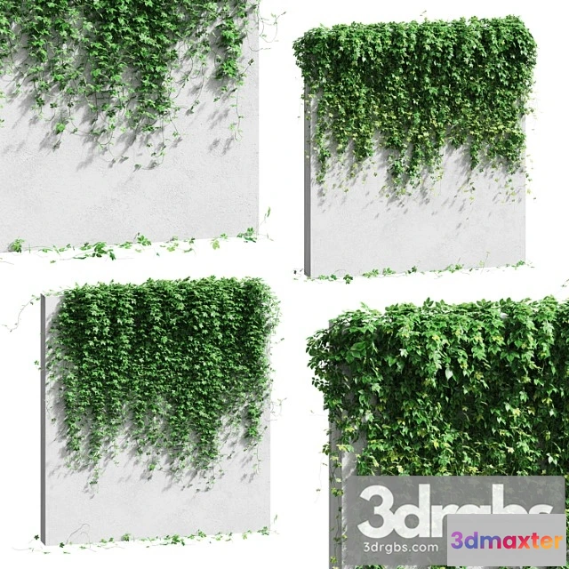 1064018 - Wall with grape leaves - No.2