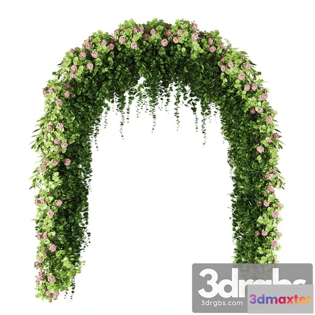 1064020 - Wedding arch 02