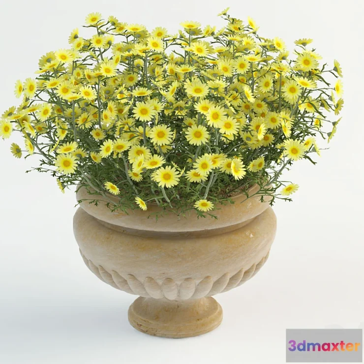 1273018 - Daisy in pot 3D Max