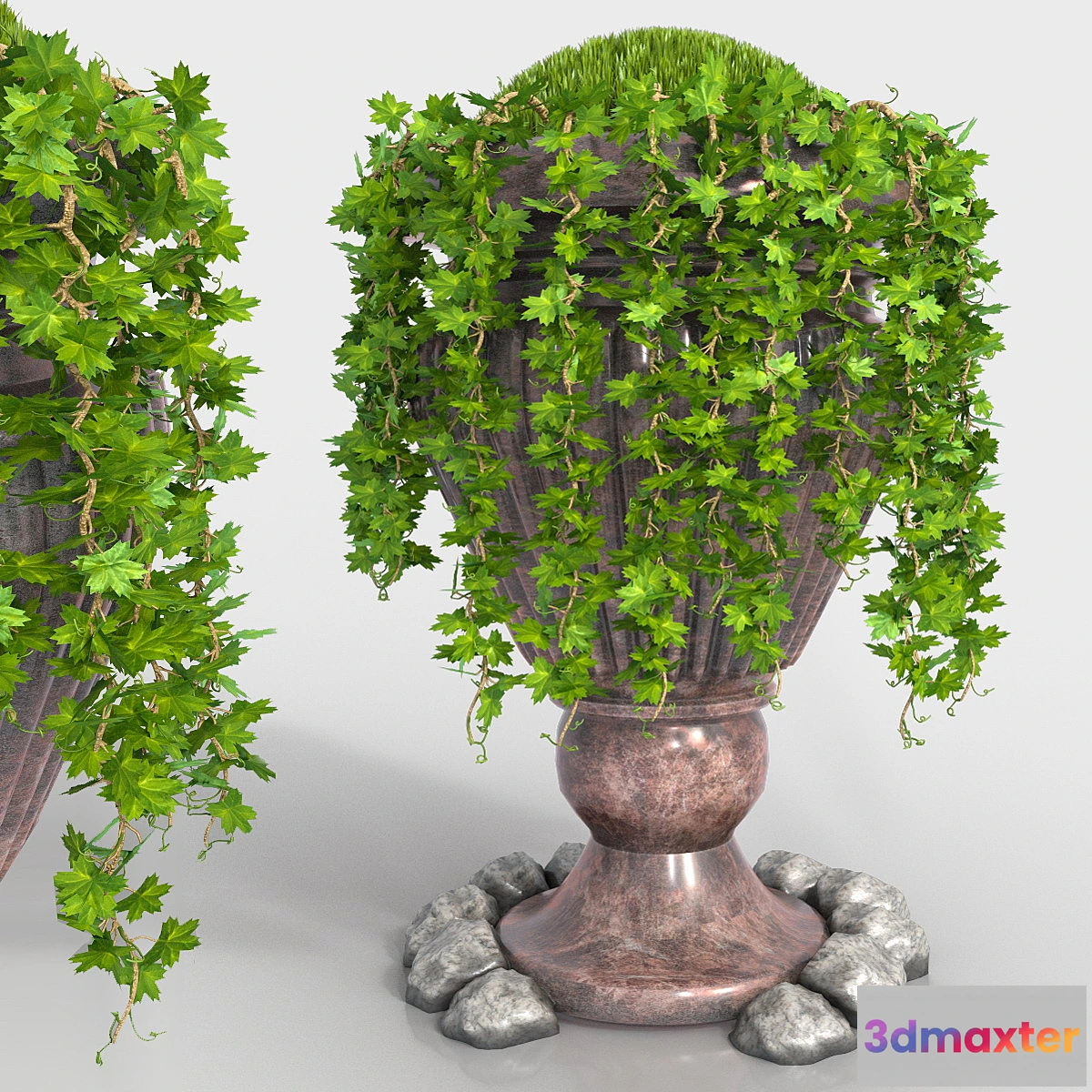 1280836 - Grapes - No.3 3D Max