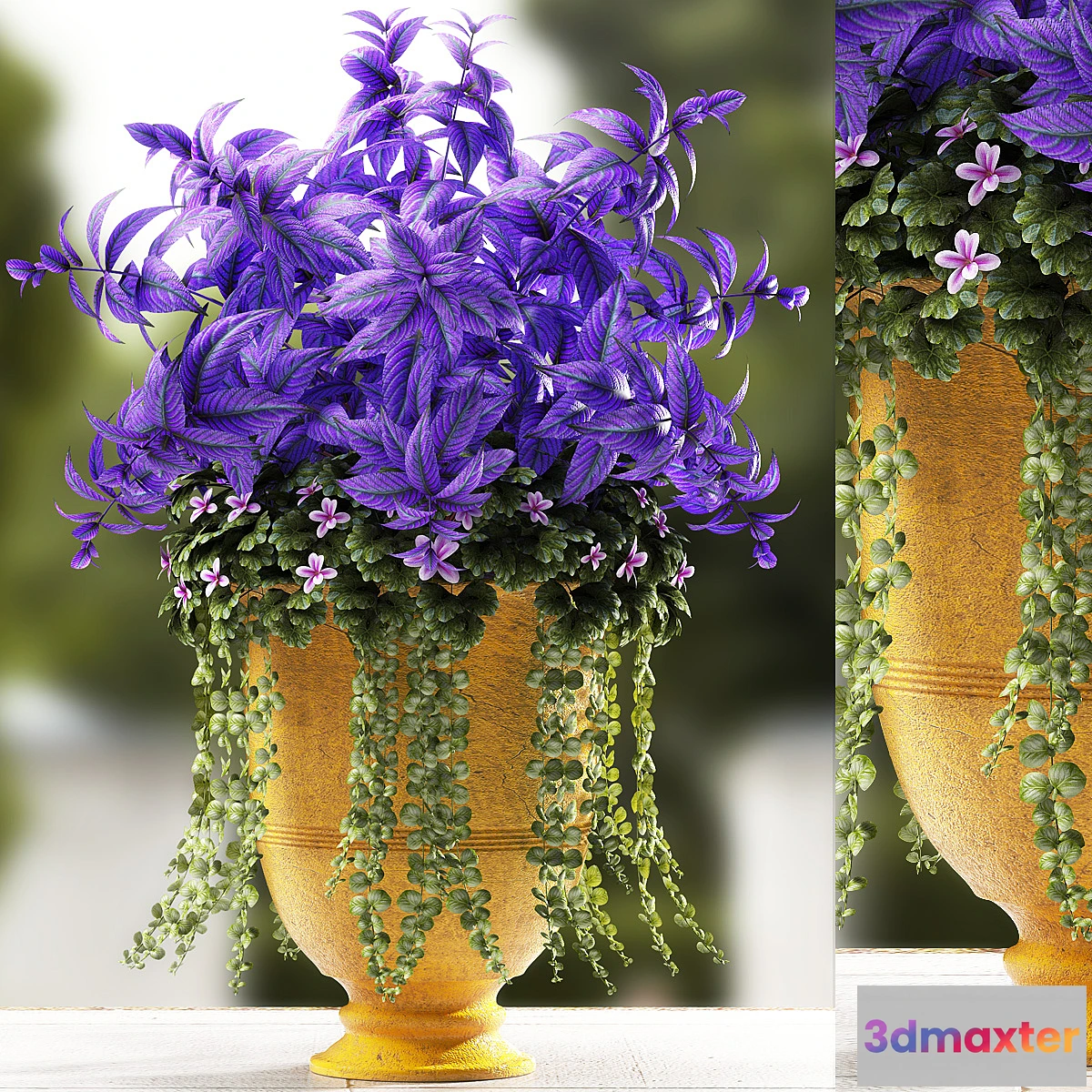 1289996 - PLANTS 56 3D Max