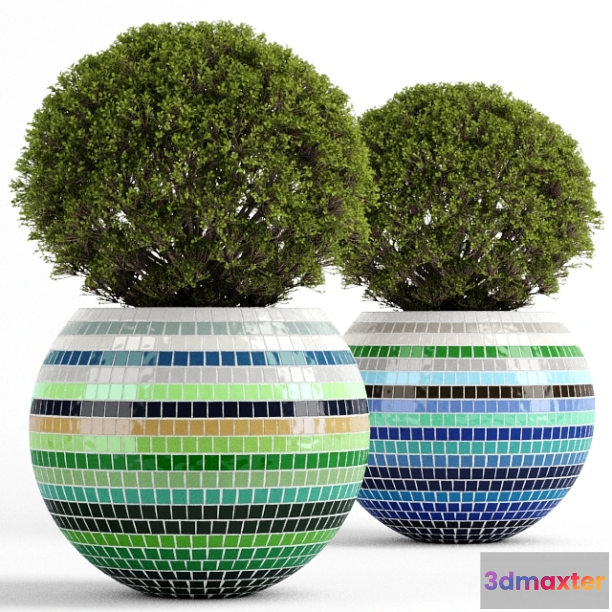 1294212 - Box tree with Mosaic Pot 3D Max