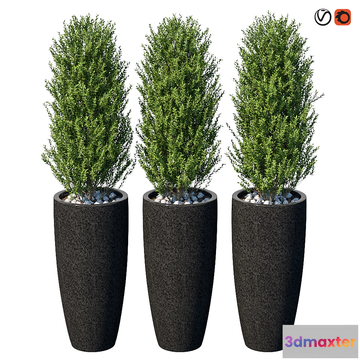 1295838 - Street bushes in pots VI 3D Max