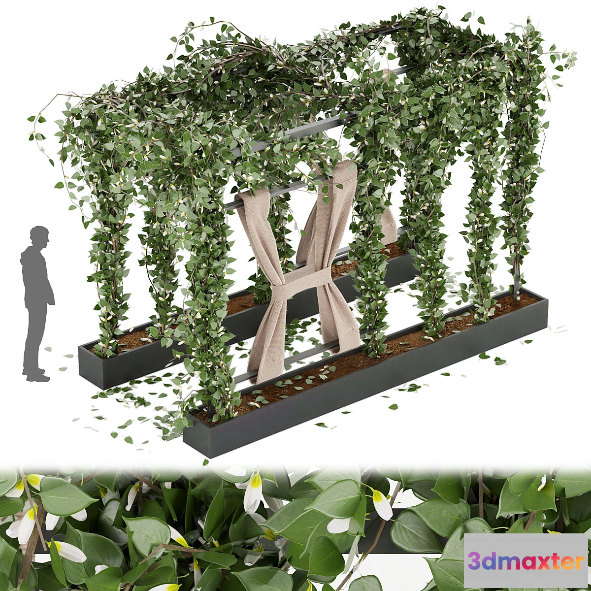 1296482 - Collection plant vol 28 3D Max