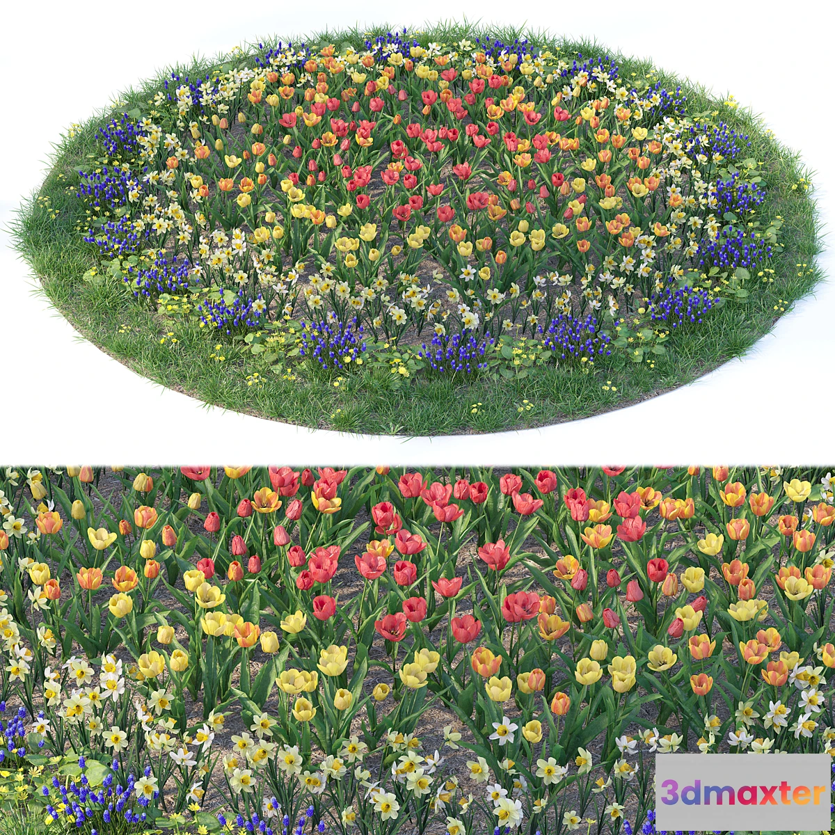 1297863 - Flower garden 6 3D Max