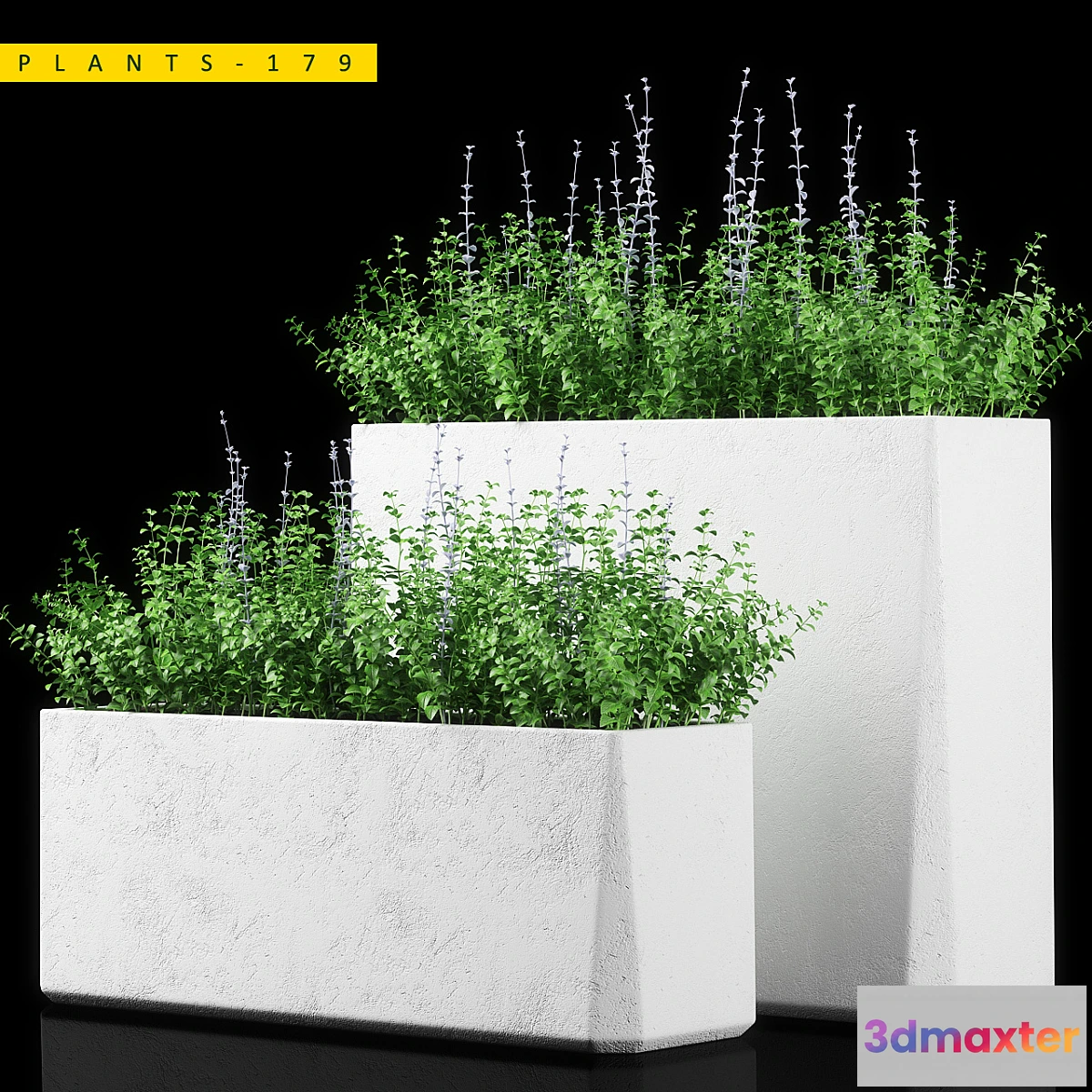 1299971 - PLANTS 179 3D Max