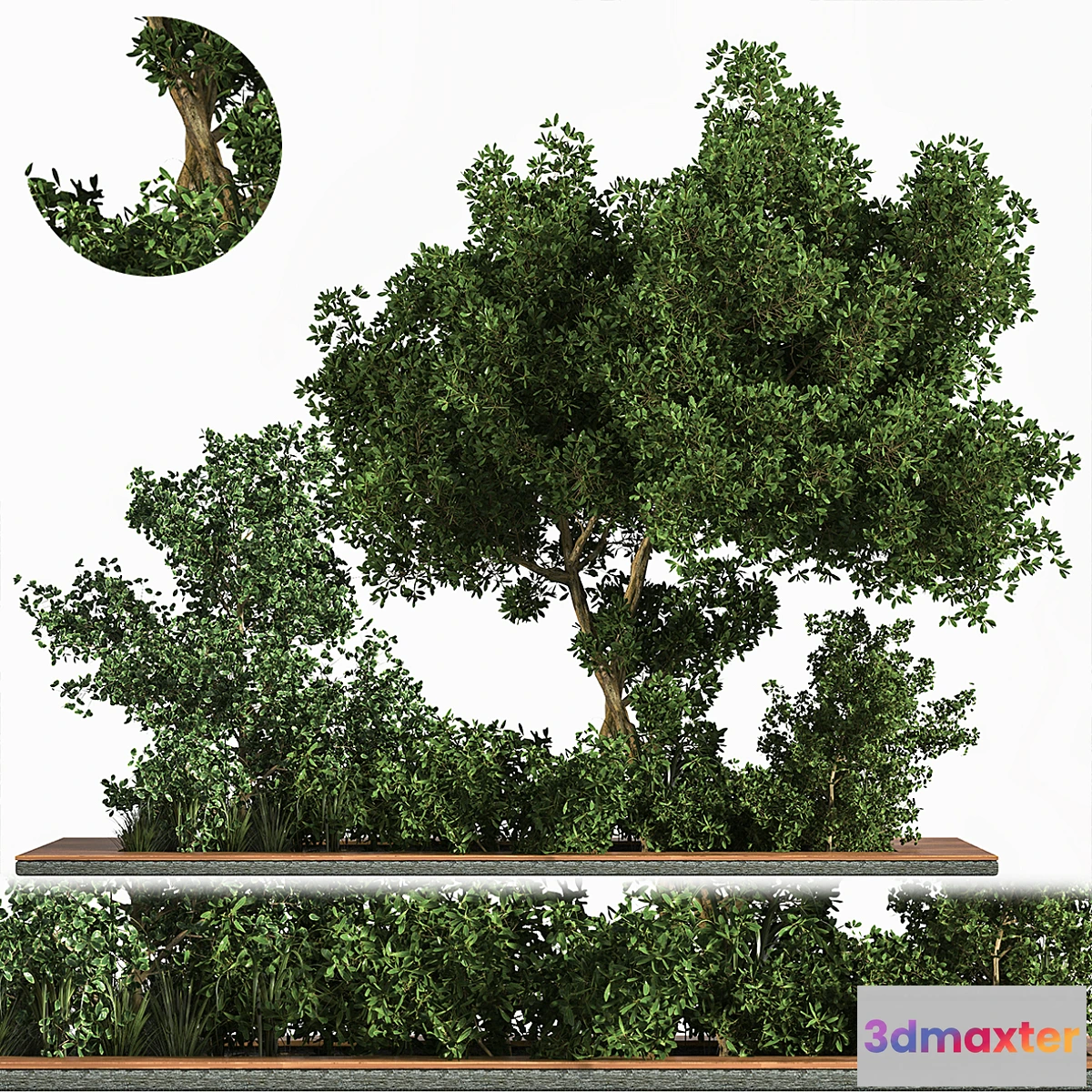 1300423 - Garden Set Grass Tree 3D Max