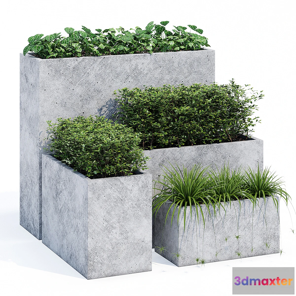 1301266 - Mone three - No.2 3D Max