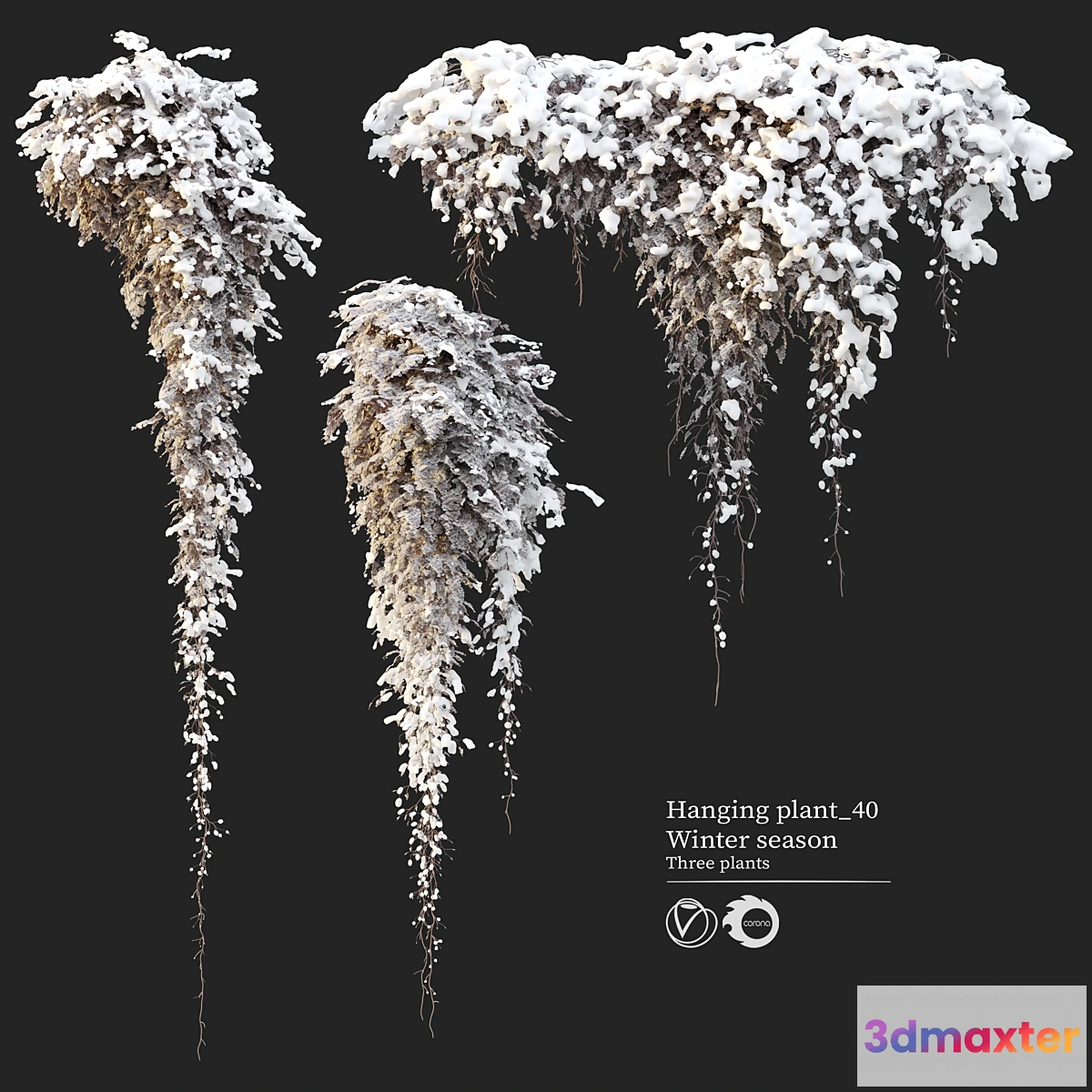 1301598 - Hanging plant 40 3D Max