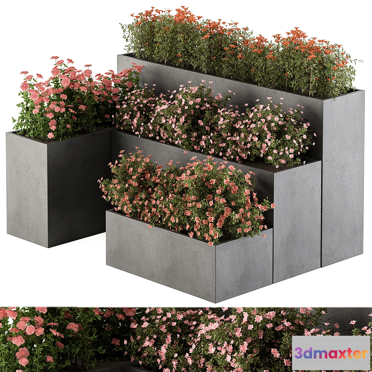 1302149 - Flower Box - Outdoor Plants 436 3D Max