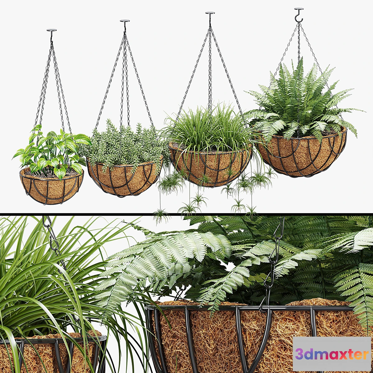 1302360 - Wire criss 3D Max