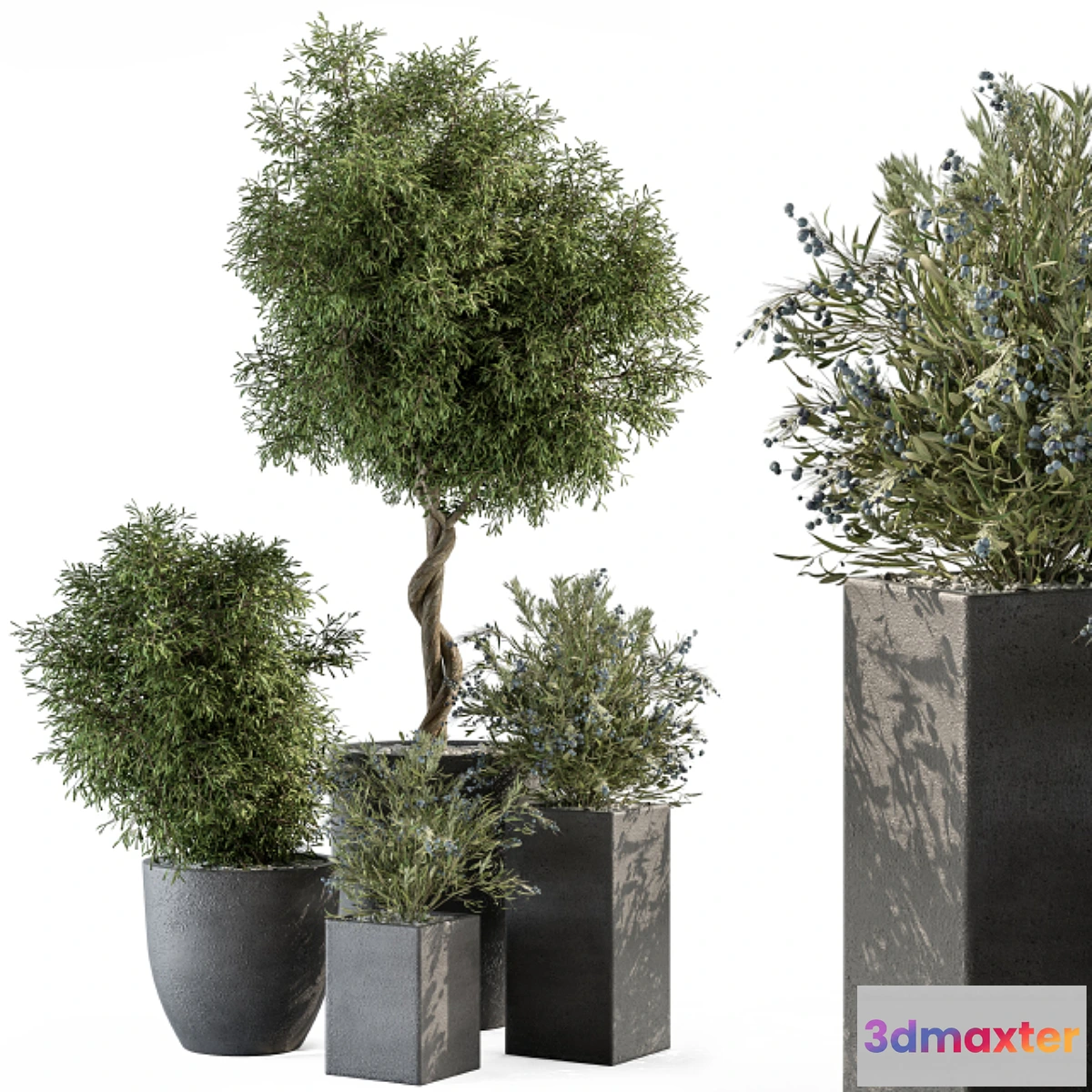 1302622 - Outdoor Plant Set 273 - Plant Set in Concrete Pot 3D Max