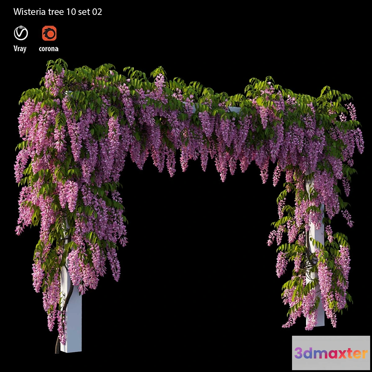 1304464 - wisterial tree 10 set 02 3D Max