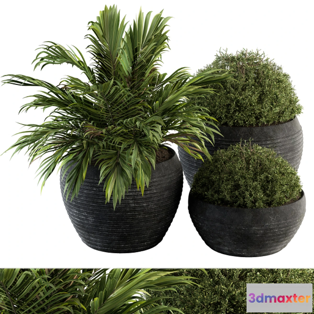 1307778 - Outdoor Plants tree in Concrete Pot - Set 104 3D Max