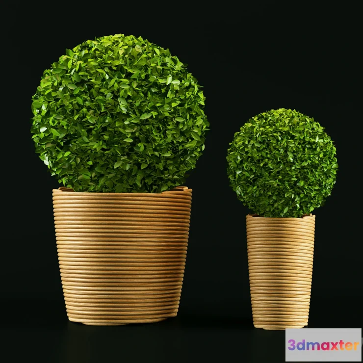 1309875 - Plant - No.4 3D Max