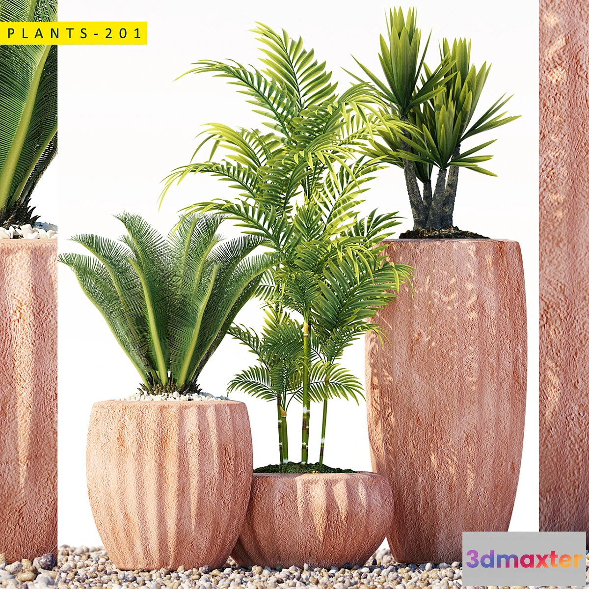 1310013 - Plants 201 3D Max