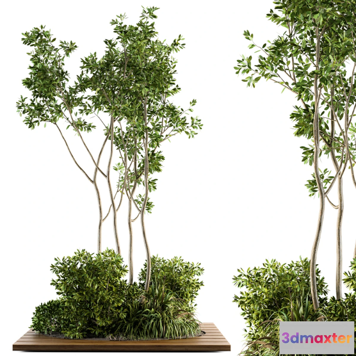 1310247 - Garden set bush and Tree - Garden Set 04 - No.2 3D Max