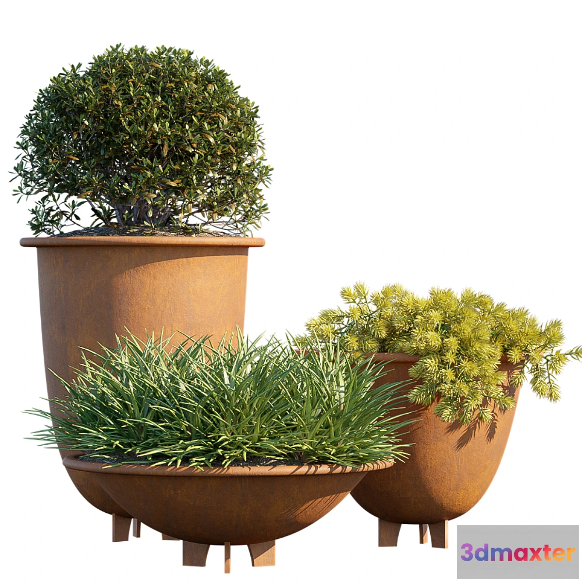 1311472 - Plant in pots # 6 3D Max