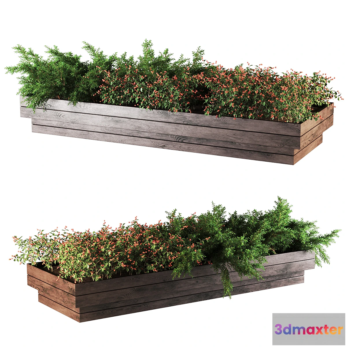 1313448 - plant1101 3D Max