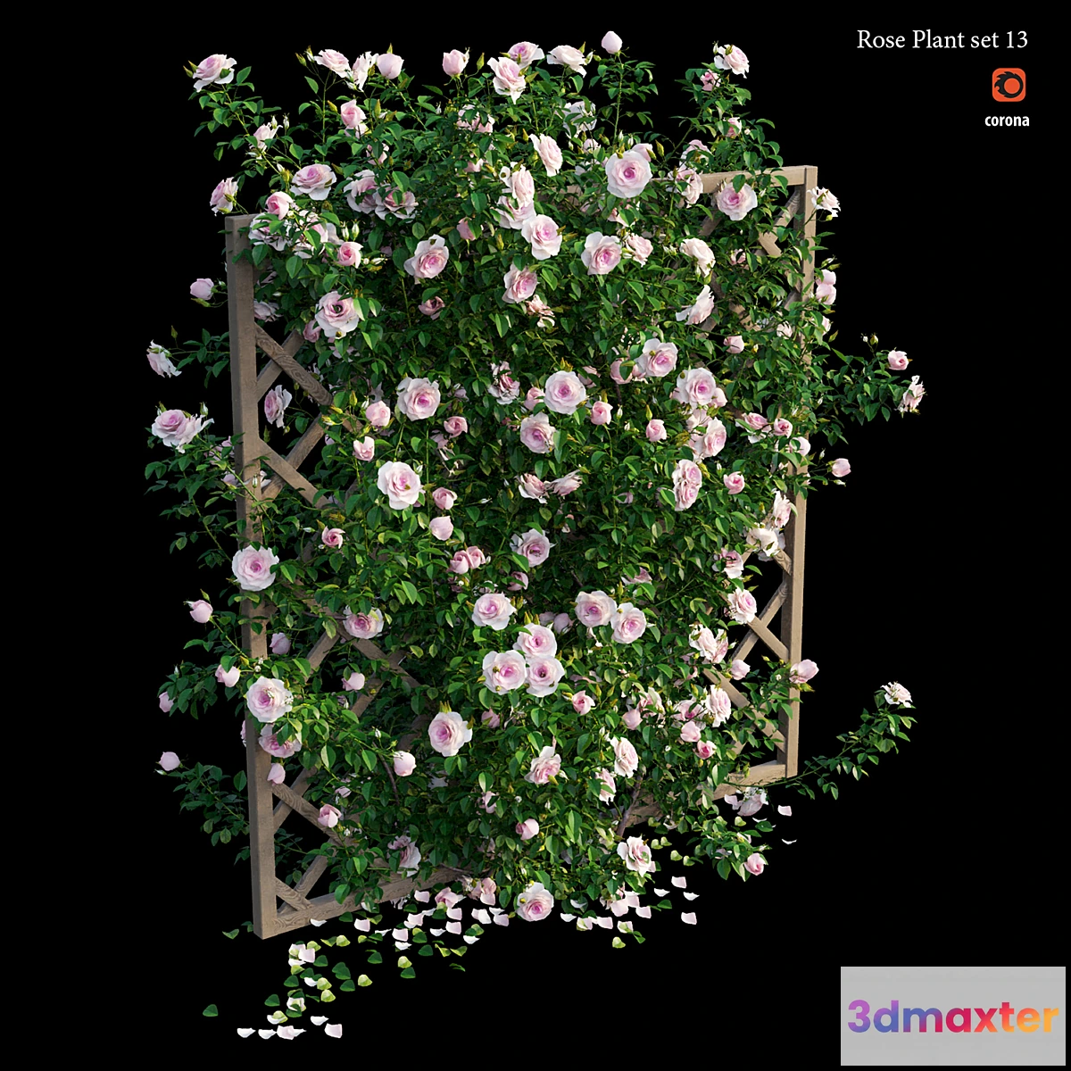 1314945 - Rose plant set 13 3D Max