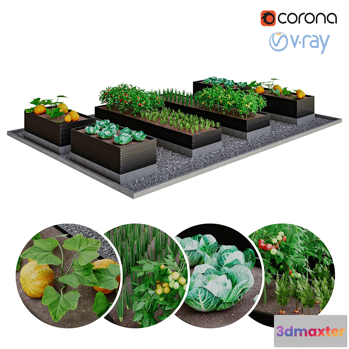 1315035 - Kitchen garden  kitchen garden 3D Max