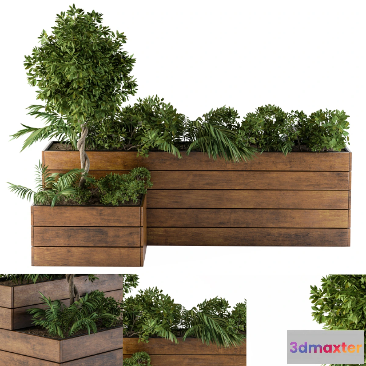 1315172 - outdoor-plants Flower Box 3D Max