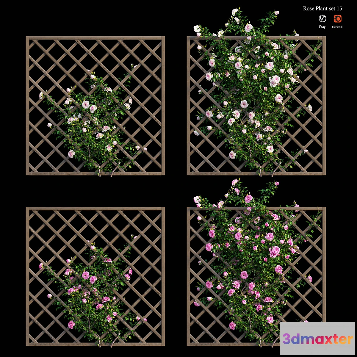 1318791 - Rose plant set 15 3D Max