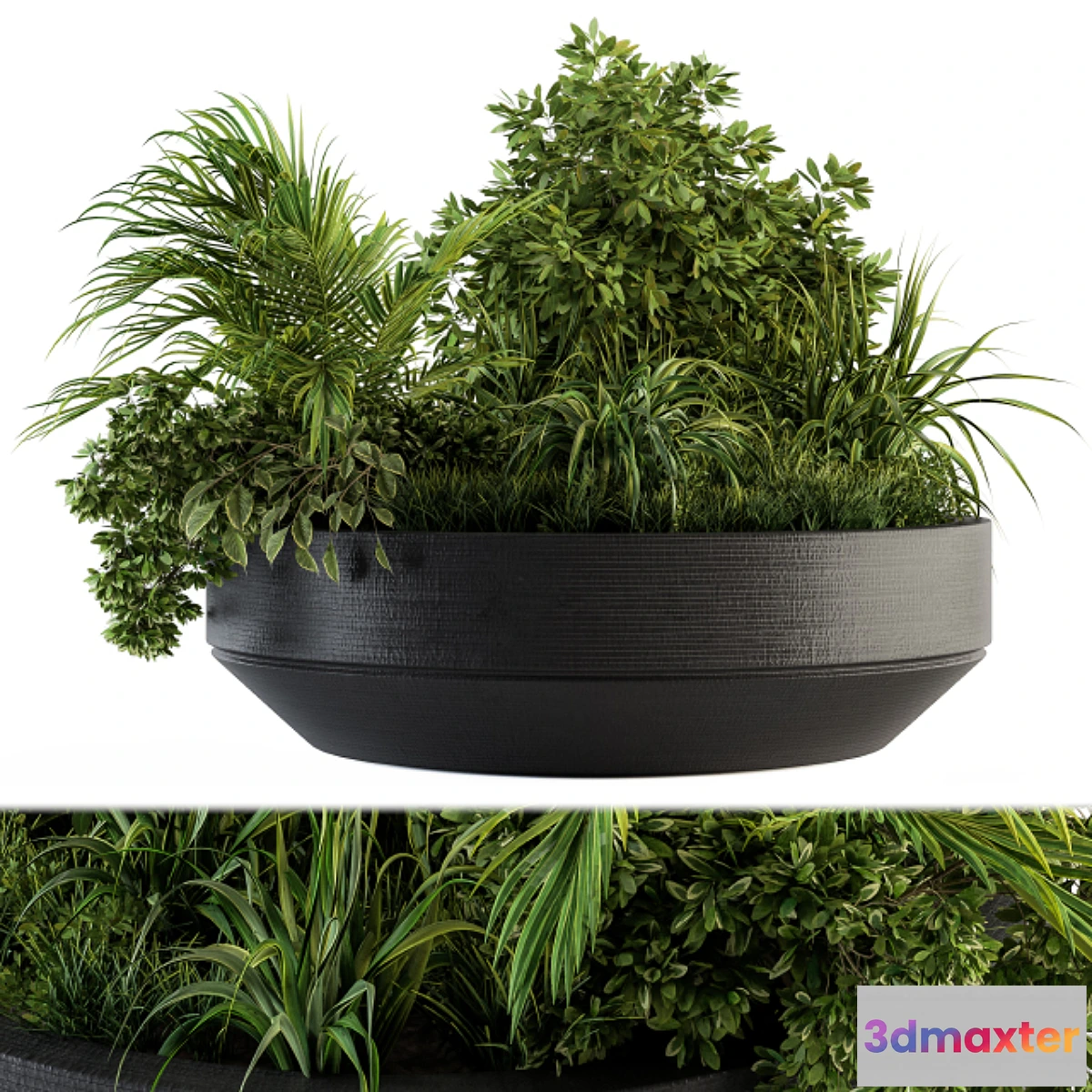 1318862 - Outdoor Plants tree in Concrete Pot - Set 144 3D Max