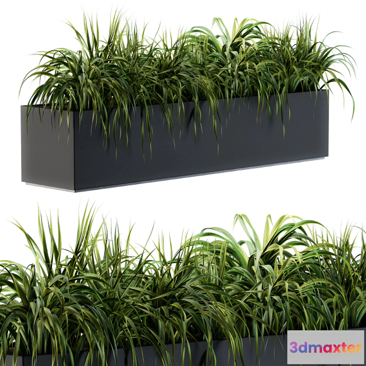 1320414 - Ranch Grass plants in box - Outdoor Set 63 3D Max