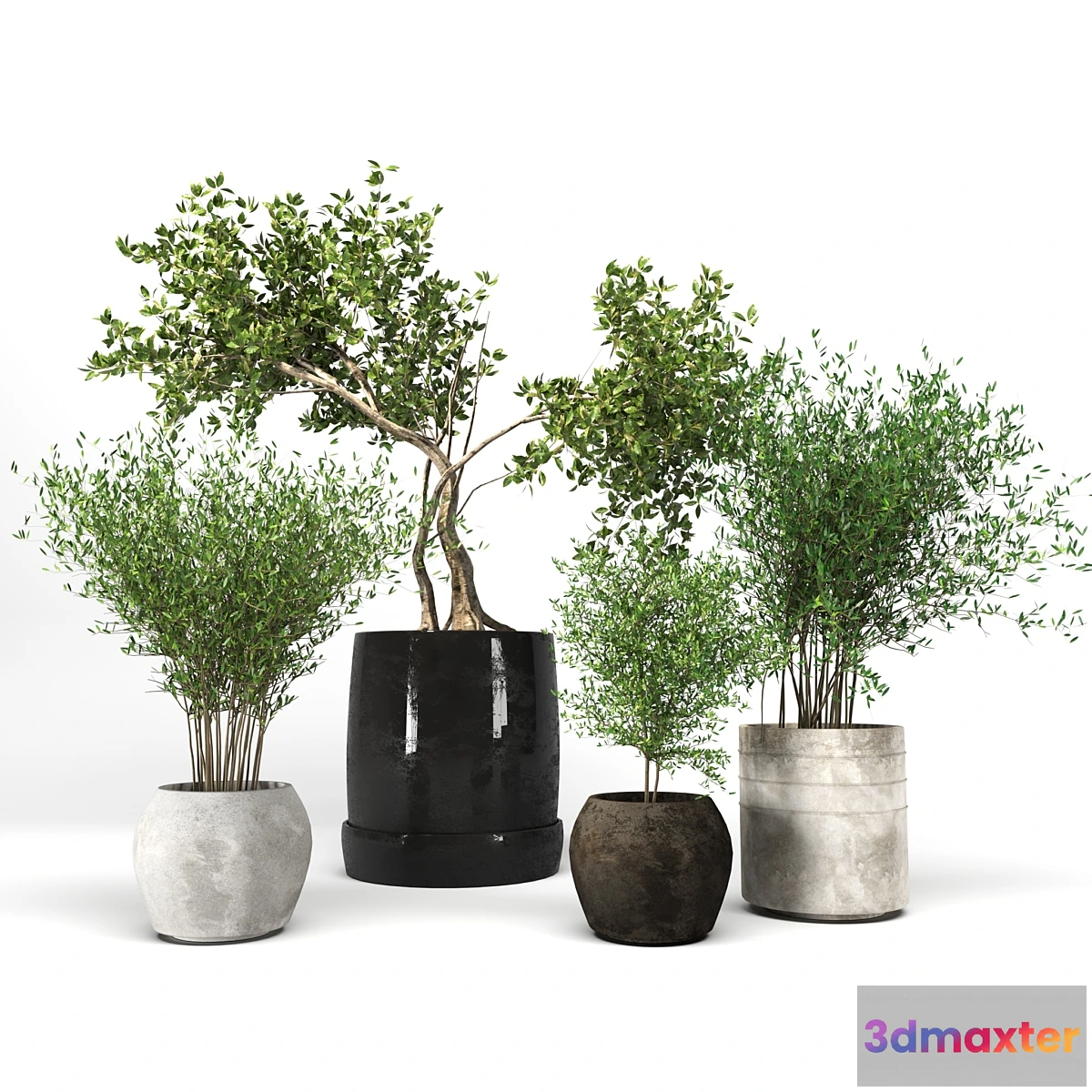 1321383 - Plant collection09 3D Max