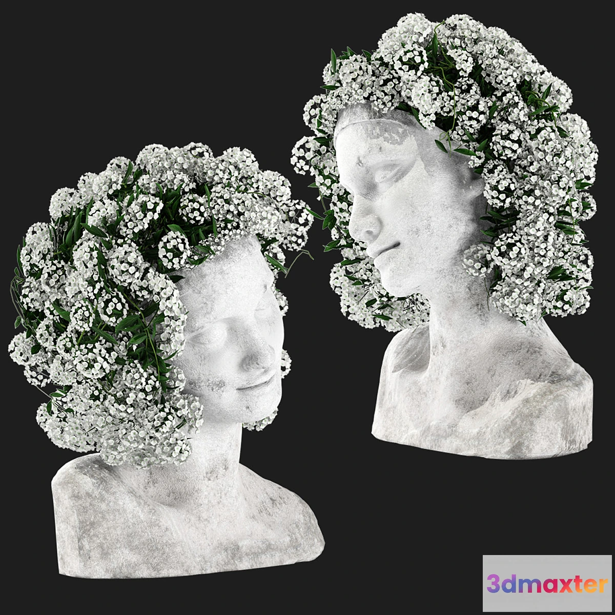 1321916 - Taiki’s Head 3D Max