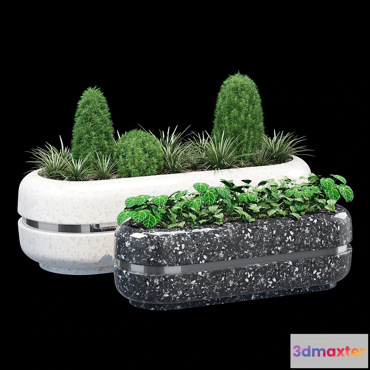 1321983 - Cristina 3D Max